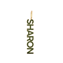 Load image into Gallery viewer, 14k Gold Enamel Custom Name Charm
