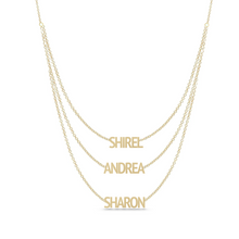Load image into Gallery viewer, Solid Layered Multiple Names Necklaces
